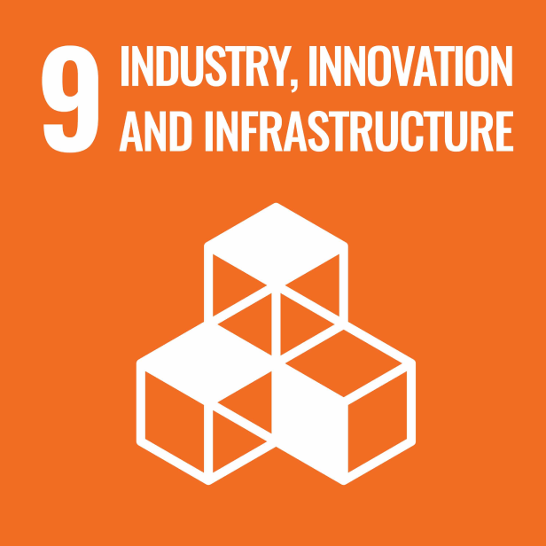 industry-innovation-and-infrastructure-image